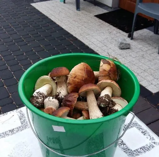 U Beti Rum i privatbostad Wąglikowice