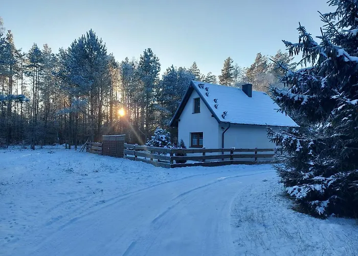U Beti Rum i privatbostad Wąglikowice